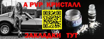стаф Заволжье